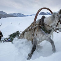 Ibex Throne圖片照片_Ibex Throne