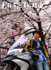 阿部力演過的電影電視劇線上看_影視作品大全_好看的明星