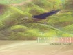 翡翠谷 Emerald Valley