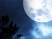 難忘中秋圓月夜歌曲歌詞大全_難忘中秋圓月夜最新歌曲歌詞