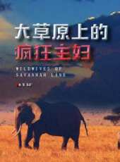 最新2020其它電視劇_好看的2020其它電視劇大全/排行榜_好看的電視劇