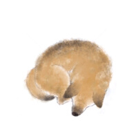 さがしもの專輯_心ゆきさがしもの最新專輯