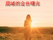 安神歌曲歌詞大全_安神最新歌曲歌詞