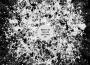 The Life Sketches專輯_Mecca:83The Life Sketches最新專輯