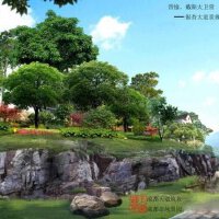 大衛營圖片照片_大衛營