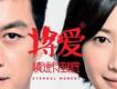 將愛情進行到底歌曲歌詞大全_將愛情進行到底最新歌曲歌詞