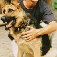Patrick Bruel圖片照片_Patrick Bruel