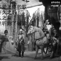 丹堂夏草圖片照片_丹堂夏草