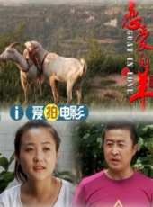 張揚演過的電影電視劇線上看_影視作品大全_好看的明星
