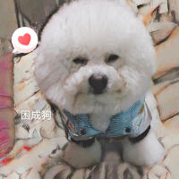 傻了個拉比熊最新專輯_新專輯大全_專輯列表