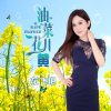 龍飛艷歌曲歌詞大全_龍飛艷最新歌曲歌詞