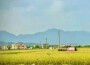 青雲歌曲歌詞大全_青雲最新歌曲歌詞
