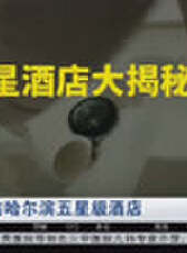 成都全接觸最新一期線上看_全集完整版高清線上看 - 蟲蟲綜藝
