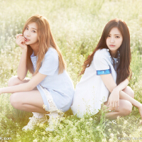 Apink圖片照片_Apink