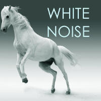 Color Noise Therapy個人資料介紹_個人檔案(生日/星座/歌曲/專輯/MV作品)