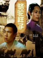 殷新演過的電影電視劇線上看_影視作品大全_好看的明星