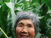 明天的下午茶圖片照片_明天的下午茶