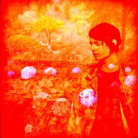 Summer Heart圖片照片_Summer Heart