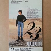 永井真理子圖片照片_永井真理子