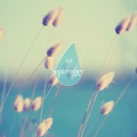 September圖片照片_September