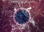 Serpens (Mr. Hack Remix)專輯_Name In ProcessSerpens (Mr. Hack Remix)最新專輯