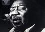 Muddy Waters