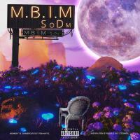 M.B.I.M