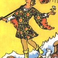 the fool圖片照片_the fool