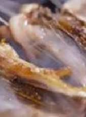 食來運轉2019最新一期線上看_全集完整版高清線上看_好看的綜藝