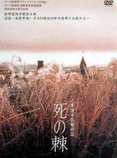 岸部一德演過的電影電視劇線上看_影視作品大全_好看的明星