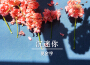 夏金宇最新歌曲_最熱專輯MV_圖片照片