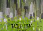 Wild Pink歌曲歌詞大全_Wild Pink最新歌曲歌詞