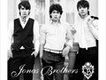 Jonas Brothers(龐克搖滾團歌曲歌詞大全_Jonas Brothers(龐克搖滾團最新歌曲歌詞