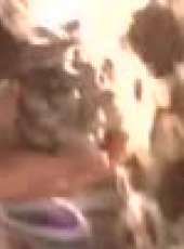7日7頻道最新一期線上看_全集完整版高清線上看_好看的綜藝