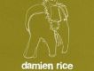 Damien Rice歌曲歌詞大全_Damien Rice最新歌曲歌詞
