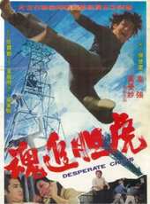 高強最新電影_高強電影全集線上看_好看的電影