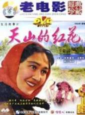 天山上的紅花線上看_高清完整版線上看_好看的電影