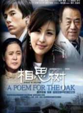 孫淳演過的電影電視劇線上看_影視作品大全_好看的明星