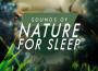 Tibetan Relaxation: Gongs and Soothing Nature Sounds專輯_Sounds Of NatureTibetan Relaxation: Gongs and Soothing Nature Sounds最新專輯