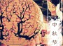 月餅歌曲歌詞大全_月餅最新歌曲歌詞