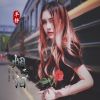豐靜歌曲歌詞大全_豐靜最新歌曲歌詞