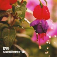 Rain: Grateful Mantra of Rain