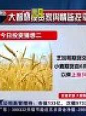 股舞飛陽 2012最新一期線上看_全集完整版高清線上看_好看的綜藝
