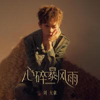 心碎暴風雨專輯_劉大拿心碎暴風雨最新專輯