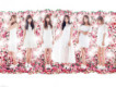 Apink歌曲歌詞大全_Apink最新歌曲歌詞