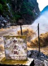 誓言（賈乃亮版）線上看_全集高清完整版線上看_分集劇情介紹_好看的電視劇