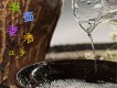 江少歌曲歌詞大全_江少最新歌曲歌詞