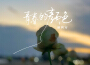 麗莉安歌曲歌詞大全_麗莉安最新歌曲歌詞
