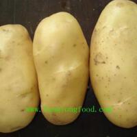 Potito圖片照片_Potito