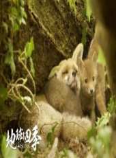 地球四季 高口碑引觀影潮 聯動票房逐漸回暖線上看_高清完整版線上看_好看的電影
